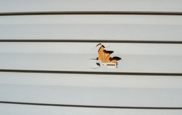 Cost of Siding Hole Patching in Missoula