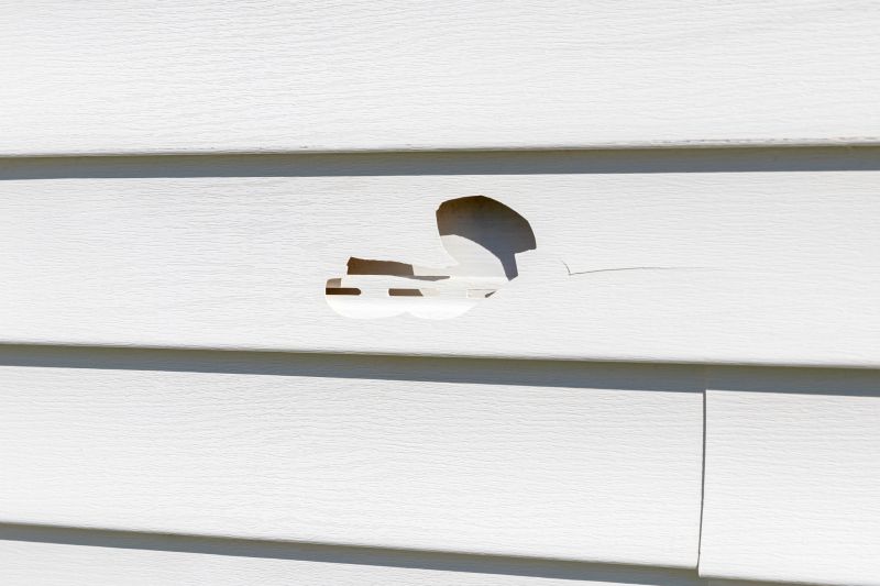Siding Hole Patching